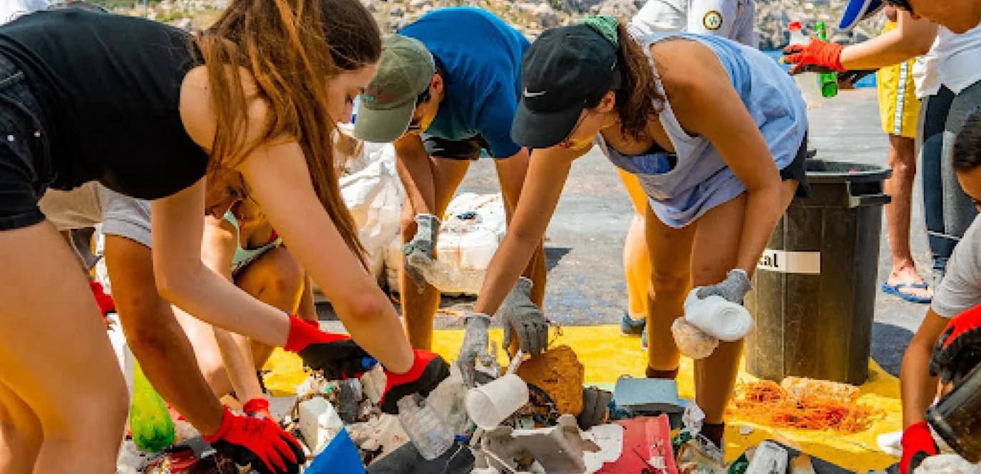 Collectors sorting material together