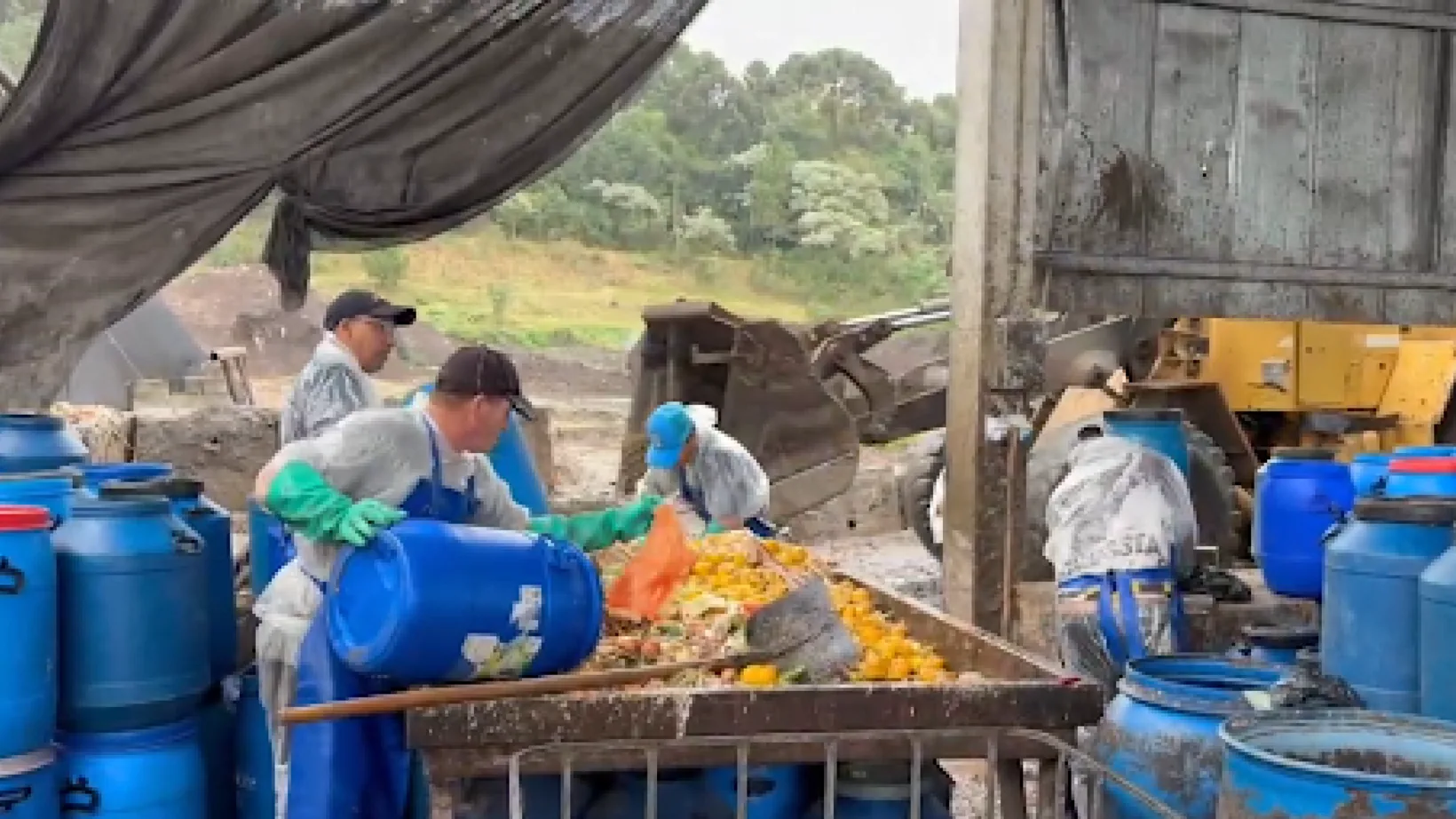 Workers weighing and sorting collected material at a bench