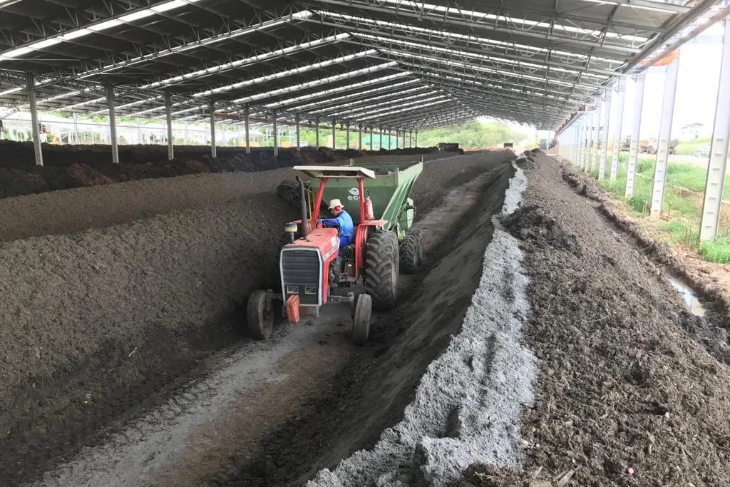 Tractor turning a compost windrow at TERA Ambiental