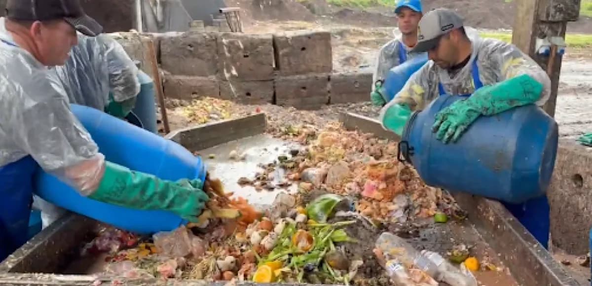 Workers composting organic waste at Composta+